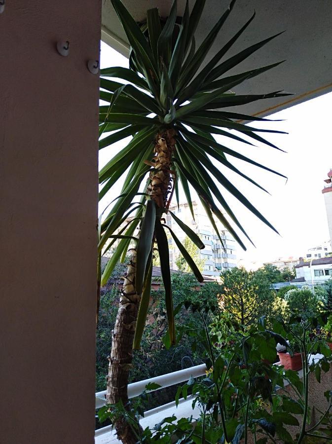 Apartamento Principe Caces Extérieur photo